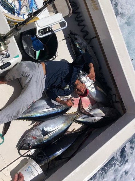 April Photo Archive 2019 Cavalier & Blue Marlin Sport Fishing Gran Canaria