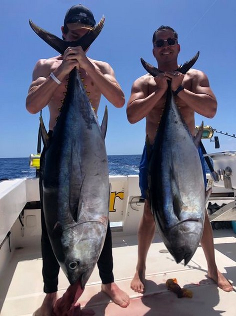 40 & 50 kg Blåfenad Cavalier & Blue Marlin Sport Fishing Gran Canaria