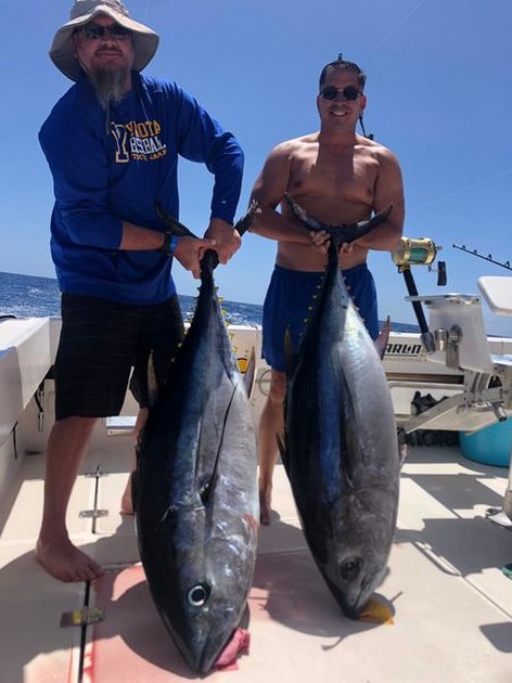 April Photo Archive 2019 Cavalier & Blue Marlin Sport Fishing Gran Canaria