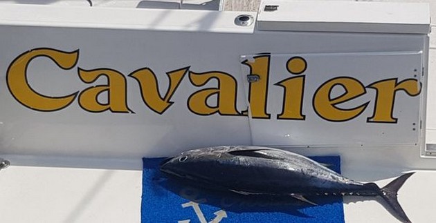  - Cavalier & Blue Marlin Sport Fishing Gran Canaria