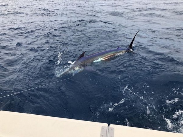  - Cavalier & Blue Marlin Sport Fishing Gran Canaria
