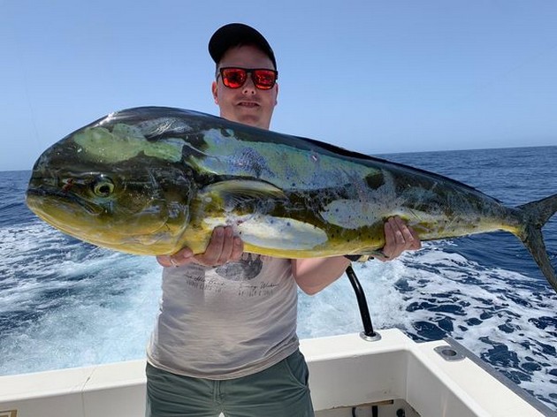 Dorado Cavalier & Blue Marlin Sport Fishing Gran Canaria