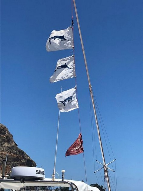 June Photo Archive 2019 Cavalier & Blue Marlin Sport Fishing Gran Canaria