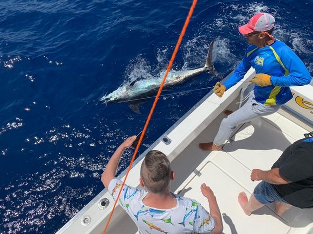 Hooked up Cavalier & Blue Marlin Sport Fishing Gran Canaria