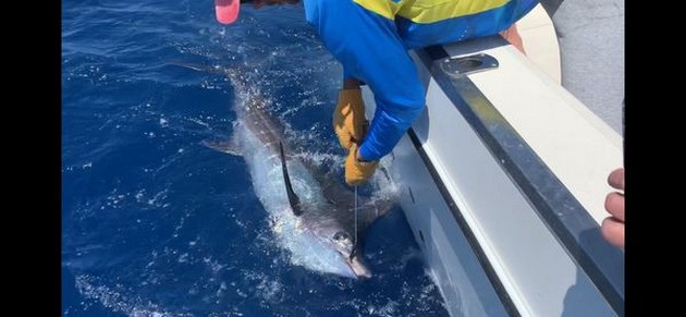 Release Me Cavalier & Blue Marlin Sport Fishing Gran Canaria