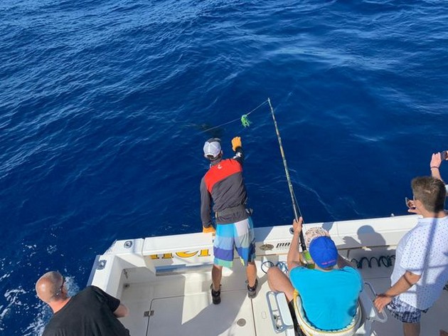 Well done Cavalier & Blue Marlin Sport Fishing Gran Canaria