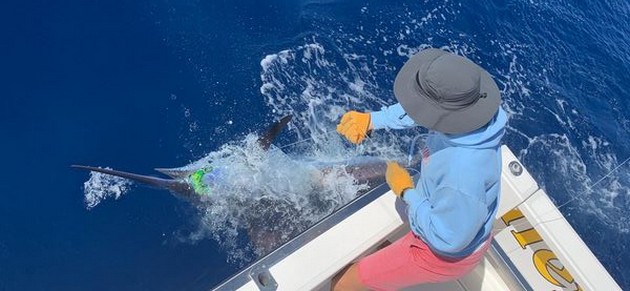 Blue Marlin Cavalier & Blue Marlin Sport Fishing Gran Canaria