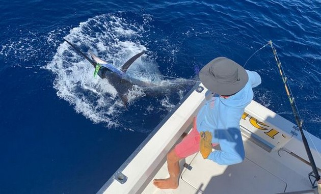 Blue Marlin Cavalier & Blue Marlin Sport Fishing Gran Canaria