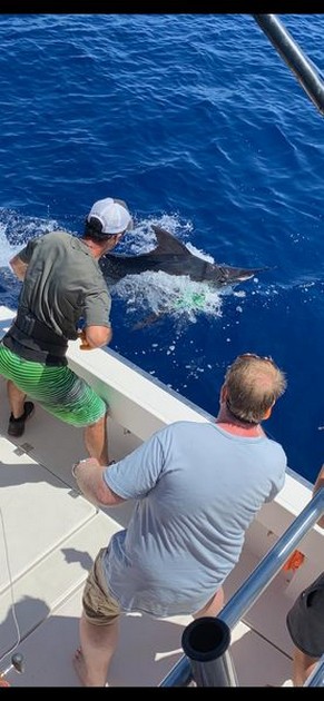 Well done Cavalier & Blue Marlin Sport Fishing Gran Canaria