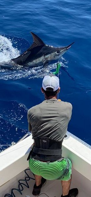 Congratulations Cavalier & Blue Marlin Sport Fishing Gran Canaria