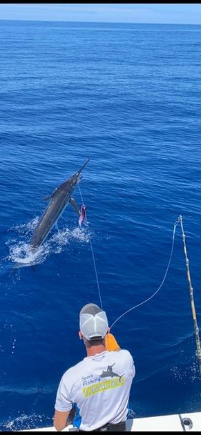 Wooooooow Cavalier & Blue Marlin Sport Fishing Gran Canaria