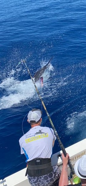 Blue Marlin Cavalier & Blue Marlin Sport Fishing Gran Canaria