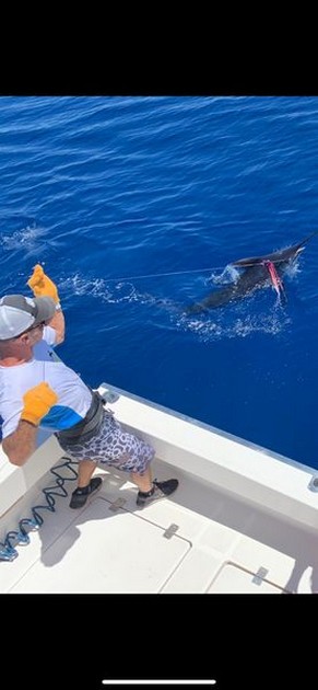 Well done Cavalier & Blue Marlin Sport Fishing Gran Canaria