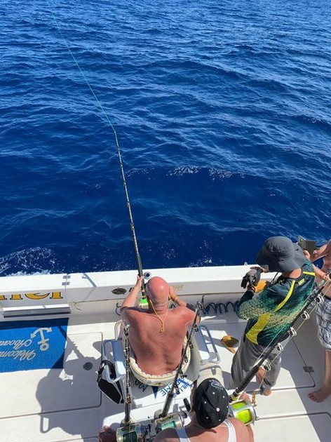 June Photo Archive 2019 Cavalier & Blue Marlin Sport Fishing Gran Canaria