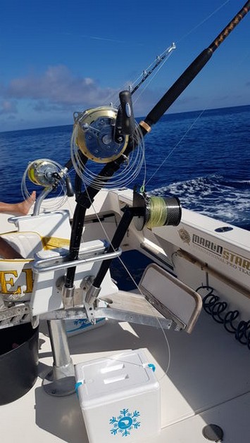  - Cavalier & Blue Marlin Sport Fishing Gran Canaria