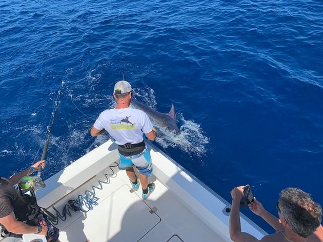June Photo Archive 2019 Cavalier & Blue Marlin Sport Fishing Gran Canaria