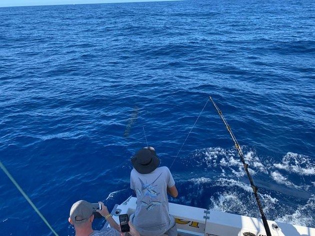 June Photo Archive 2019 Cavalier & Blue Marlin Sport Fishing Gran Canaria