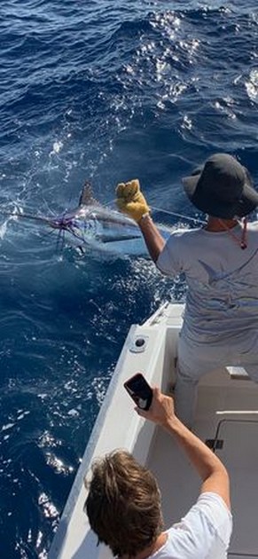  - Cavalier & Blue Marlin Sport Fishing Gran Canaria