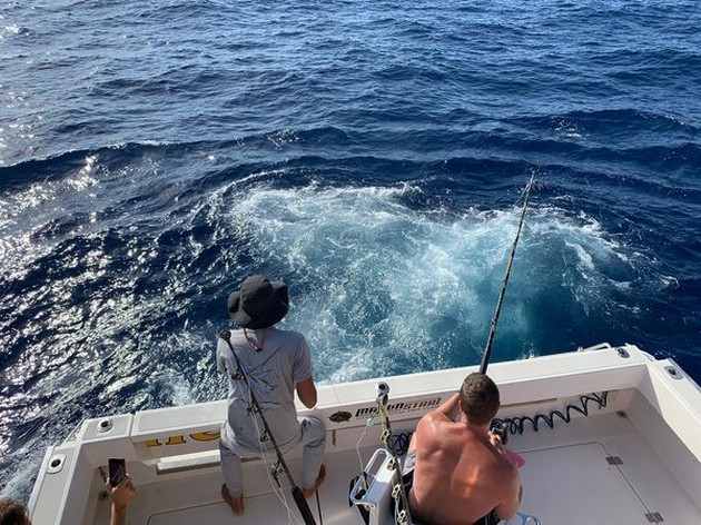 June Photo Archive 2019 Cavalier & Blue Marlin Sport Fishing Gran Canaria