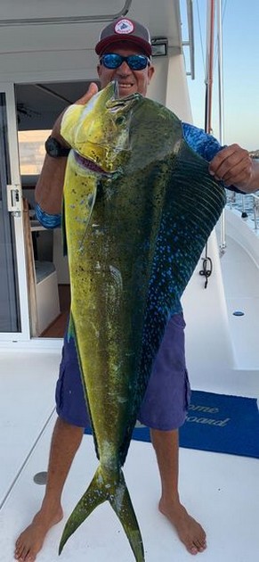 Dorado Cavalier & Blue Marlin Sport Fishing Gran Canaria