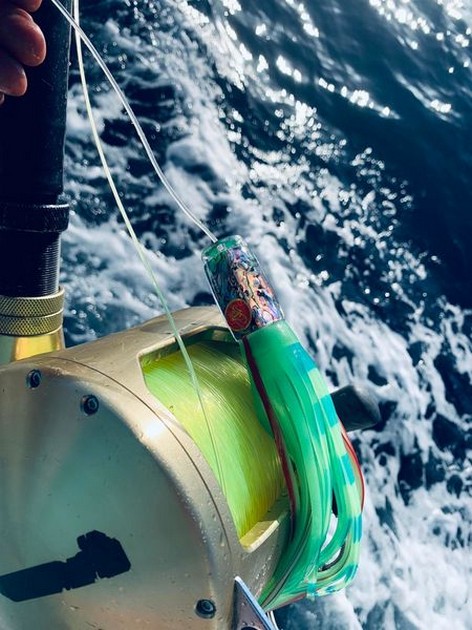 July Photo Archive 2019 Cavalier & Blue Marlin Sport Fishing Gran Canaria