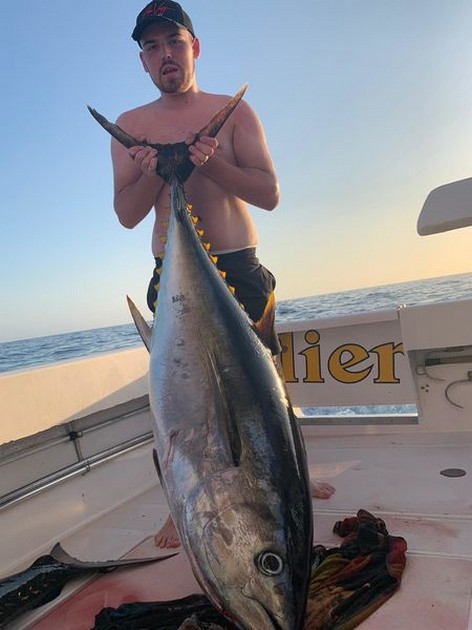 August Photo Archive 2019 Cavalier & Blue Marlin Sport Fishing Gran Canaria