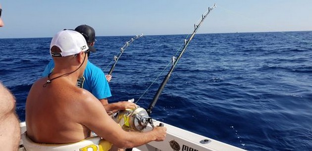 August Photo Archive 2019 Cavalier & Blue Marlin Sport Fishing Gran Canaria