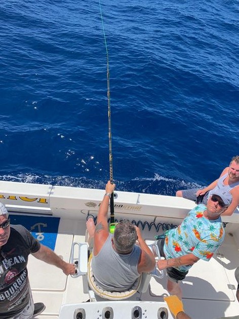 August Photo Archive 2019 Cavalier & Blue Marlin Sport Fishing Gran Canaria