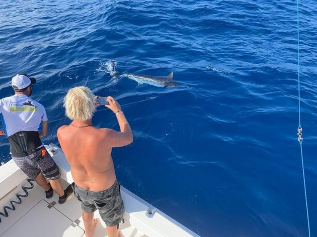  - Cavalier & Blue Marlin Sport Fishing Gran Canaria