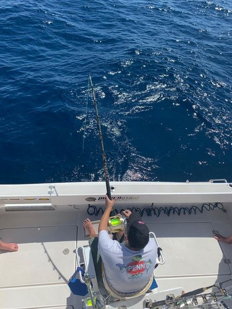 September Photo Archive 2019 Cavalier & Blue Marlin Sport Fishing Gran Canaria