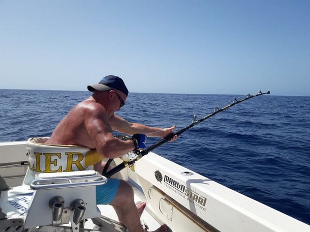 October Photo Archive 2019 Cavalier & Blue Marlin Sport Fishing Gran Canaria