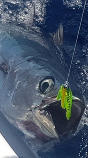 October Photo Archive 2019 Cavalier & Blue Marlin Sport Fishing Gran Canaria