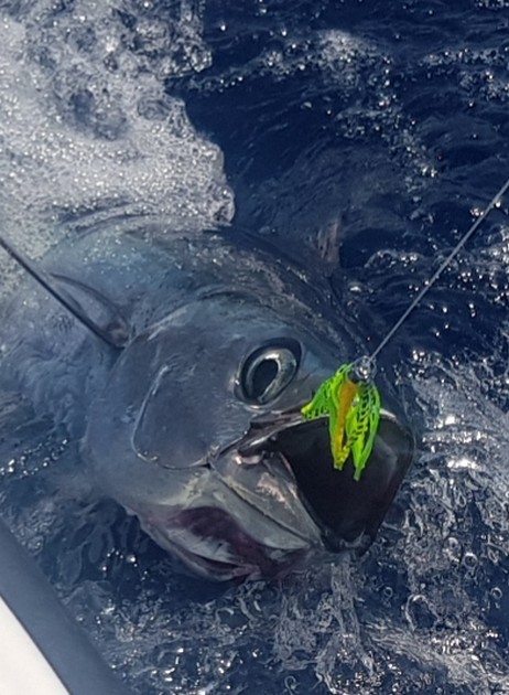October Photo Archive 2019 Cavalier & Blue Marlin Sport Fishing Gran Canaria