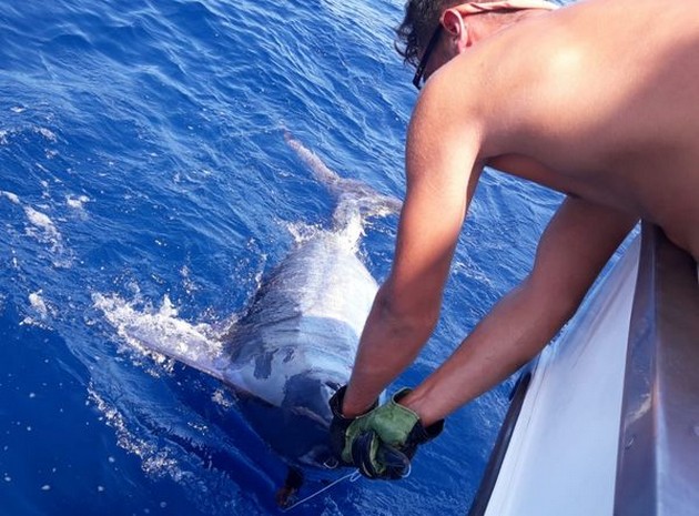 October Photo Archive 2019 Cavalier & Blue Marlin Sport Fishing Gran Canaria