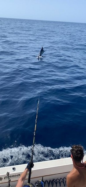 October Photo Archive 2019 Cavalier & Blue Marlin Sport Fishing Gran Canaria
