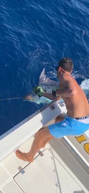 October Photo Archive 2019 Cavalier & Blue Marlin Sport Fishing Gran Canaria