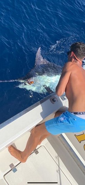 October Photo Archive 2019 Cavalier & Blue Marlin Sport Fishing Gran Canaria