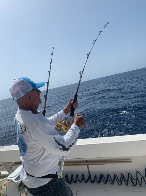 October Photo Archive 2019 Cavalier & Blue Marlin Sport Fishing Gran Canaria