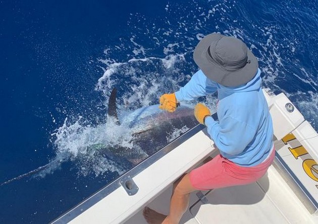  - Cavalier & Blue Marlin Sport Fishing Gran Canaria