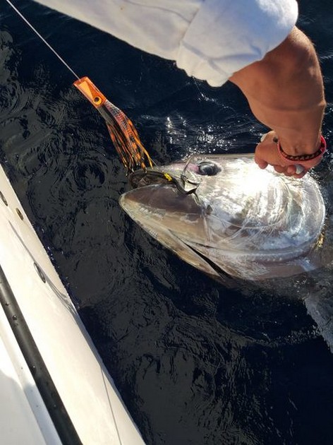 October Photo Archive 2019 Cavalier & Blue Marlin Sport Fishing Gran Canaria
