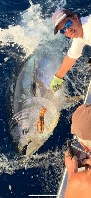 October Photo Archive 2019 Cavalier & Blue Marlin Sport Fishing Gran Canaria