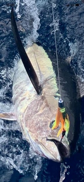 October Photo Archive 2019 Cavalier & Blue Marlin Sport Fishing Gran Canaria