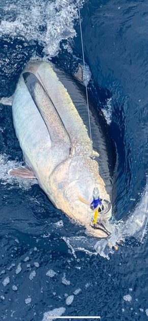 October Photo Archive 2019 Cavalier & Blue Marlin Sport Fishing Gran Canaria