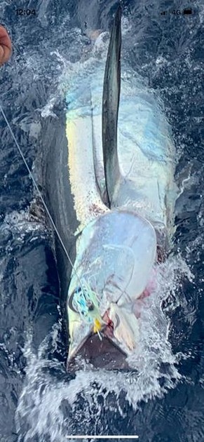 October Photo Archive 2019 Cavalier & Blue Marlin Sport Fishing Gran Canaria