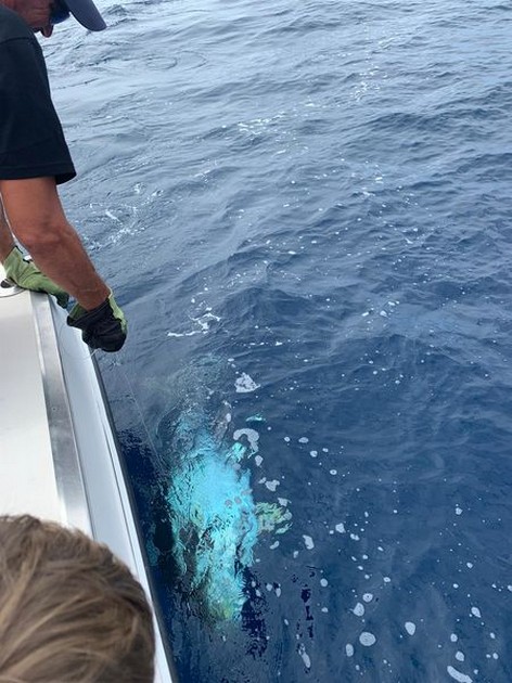 October Photo Archive 2019 Cavalier & Blue Marlin Sport Fishing Gran Canaria