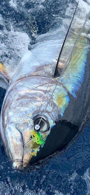 October Photo Archive 2019 Cavalier & Blue Marlin Sport Fishing Gran Canaria