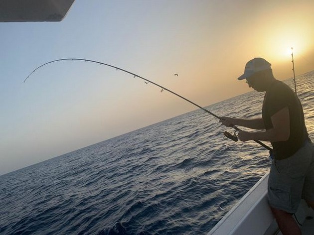  - Cavalier & Blue Marlin Sport Fishing Gran Canaria