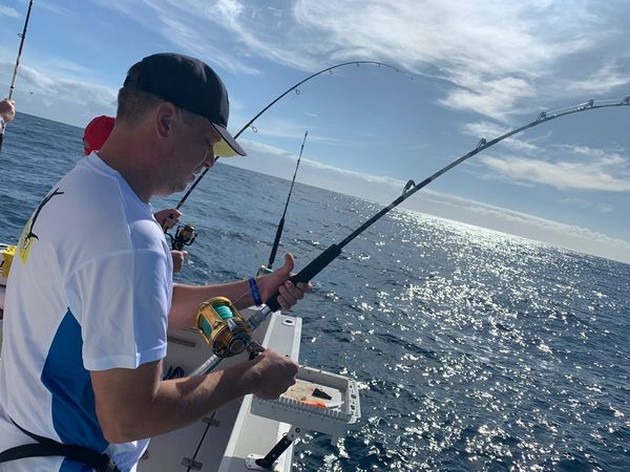 November Photo Archive 2019 Cavalier & Blue Marlin Sport Fishing Gran Canaria