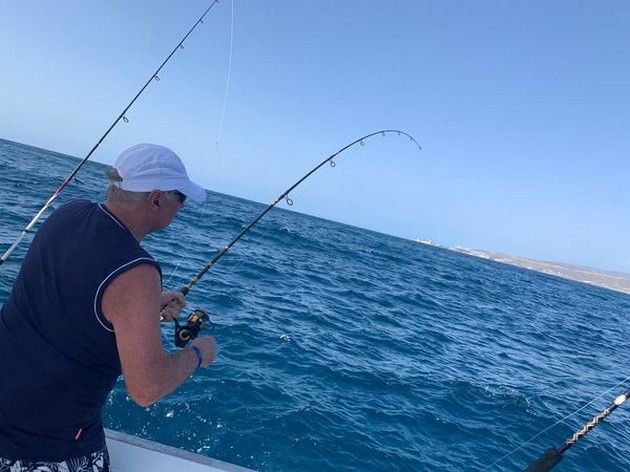 November Photo Archive 2019 Cavalier & Blue Marlin Sport Fishing Gran Canaria