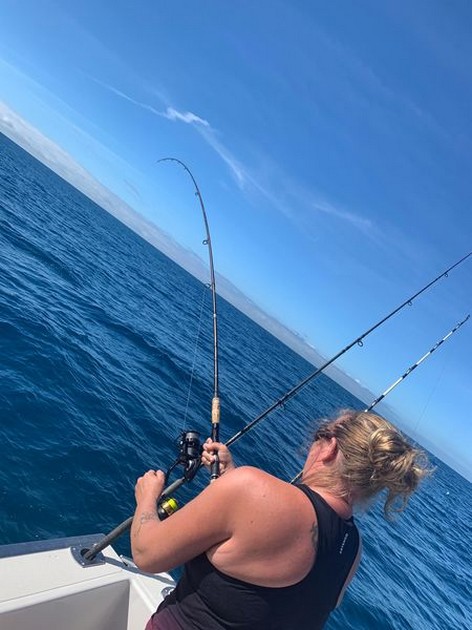 November Photo Archive 2019 Cavalier & Blue Marlin Sport Fishing Gran Canaria